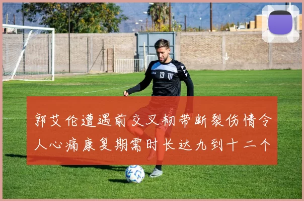 郭艾伦遭遇前交叉韧带断裂伤情令人心痛康复期需时长达九到十二个月