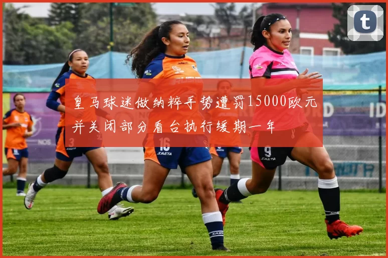 皇马球迷做纳粹手势遭罚15000欧元并关闭部分看台执行缓期一年