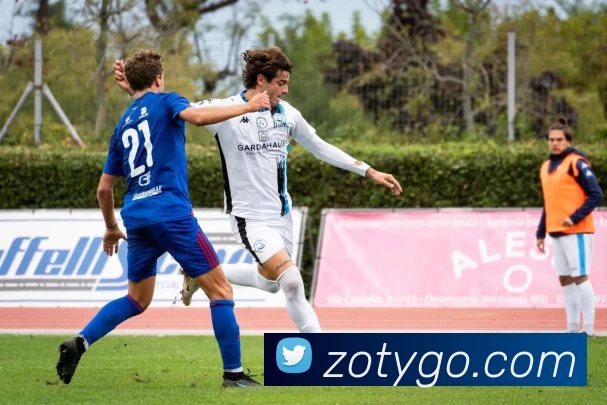 中欧体育APP 封面图